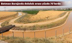 BU YIL BÖLGE KURAK YAZDAN UZAK