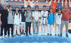 Batmanlı taekwondocular derecelerle döndü