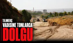 TİLMERÇ VADİSİNE TONLARCA DOLGU
