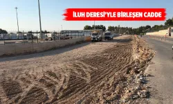 TPIC SONDAJ SAHASI CADDESİNE DÜZENLEME