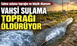 VAHŞİ SULAMA TOPRAĞI ÖLDÜRÜYOR