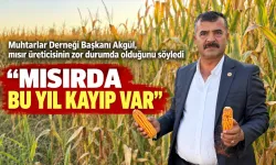 “MISIRDA BU YIL KAYIP VAR”