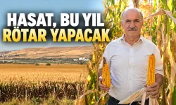 HASAT, BU YIL RÖTAR YAPACAK