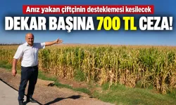 Anız yakan çiftçinin desteklemesi kesilecek