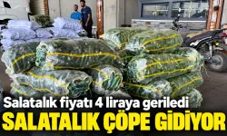 SALATALIK ÇÖPE GİDİYOR