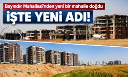 Batman’da mahalle sayısı 45’e yükseldi