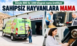 Günde 800 ile 1.000 kilogram mama üretiliyor