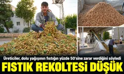 FISTIK REKOLTESİ DÜŞÜK
