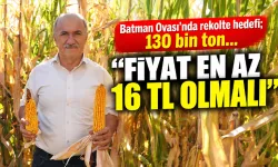Batman Ovası’nda rekolte hedefi; 130 bin ton…