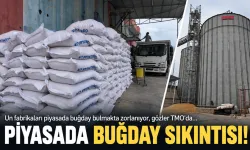 PİYASADA BUĞDAY SIKINTISI!