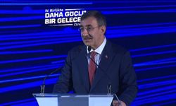 'Kişi başına geliri 25 bin dolara taşımayı amaçlıyoruz'