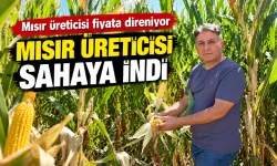 Mısır üreticisi fiyata direniyor