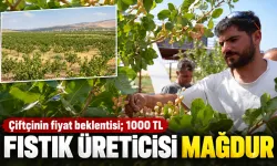 Çiftçinin fiyat beklentisi; 1000 TL