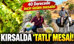 40 Derecede incir-üzüm mesaisi