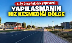 YAPILAŞMANIN HIZ KESMEDİĞİ BÖLGE