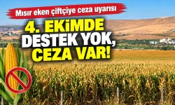 4. EKİMDE DESTEK YOK, CEZA VAR