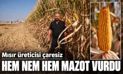 HEM NEM HEM MAZOT VURDU