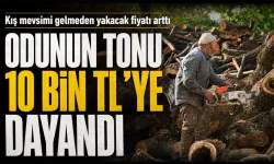 Kış mevsimi gelmeden yakacak fiyatı arttı