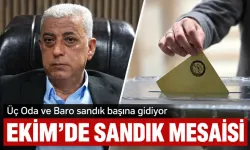Üç Oda ve Baro sandık başına gidiyor