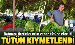 Batmanlı üreticiler prim yapan tütüne yöneldi