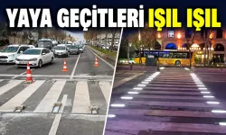 YAYA GEÇİTLERİ IŞIL IŞIL