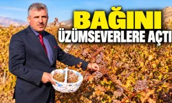 Herkes bu bağdan ihtiyacı kadar üzüm alabilecek