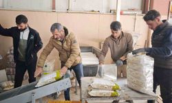 Bitlis, tohumluk kuru fasulye üretiminde Türkiye birincisi
