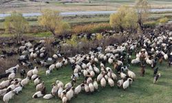 Göçerlerin Van'dan Siirt'e zorlu dönüş yolculuğu başladı