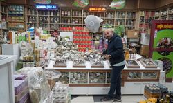 Havalar soğudu, aktarlarda yoğunluk arttı