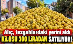Alıç, tezgahlardaki yerini aldı