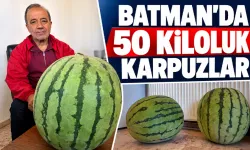 Bu karpuzları taşımak güç ister..