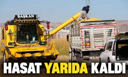 Üreticiyi yağış korkusu sardı