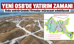 44 PARSEL İLANA ÇIKTI