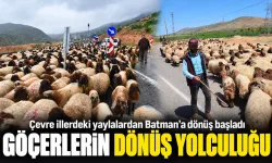 Çevre illerdeki yaylalardan Batman’a dönüş başladı
