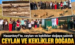Hasankeyf’te, ceylan ve keklikler doğaya salındı