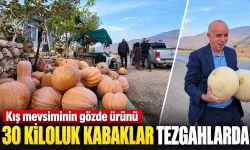 30 KİLOLUK KABAKLAR TEZGAHLARDA