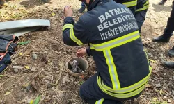 Boruda kalan kediyi itfaiye kurtardı