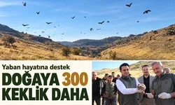DOĞAYA 300 KEKLİK DAHA