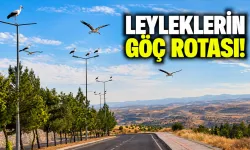 LEYLEKLERİN GÖÇ ROTASI!