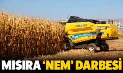 Nem oranının yüksekliği ürün fiyatını düşürdü