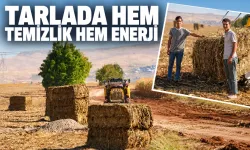 Mısır sapları enerjiye dönüşüyor