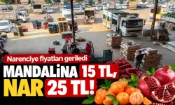 Narenciye fiyatları geriledi