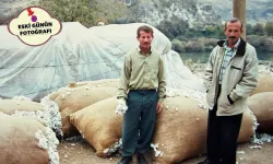 PAMUK OVADA TARİHE KARIŞTI