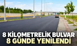 8 KİLOMETRELİK BULVAR 8 GÜNDE YENİLENDİ