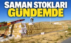 Hububat bolluğundan samanın çoğu tarlada kalmıştı