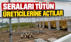 Sağanak vurdu, tütüncü seraya sığındı