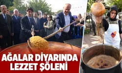 Gercüş'te lezzet festivali, 80 stant kuruldu