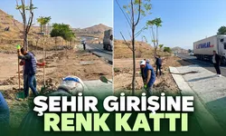 Yeşil Kuşak Projesine adım adım