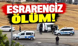 60 Yaşındaki şahıs, yol kenarında ölü bulundu