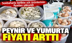 Sonbaharla birlikte süt ürünlerinin fiyatları yükseldi